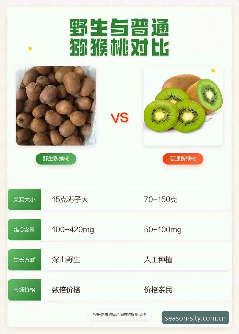 四季体育安卓下载最新版使用心得：老用户教你避开下载陷阱