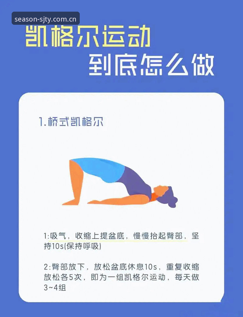 四季体育怎么样功能详解：从新手到高手的完整使用指南