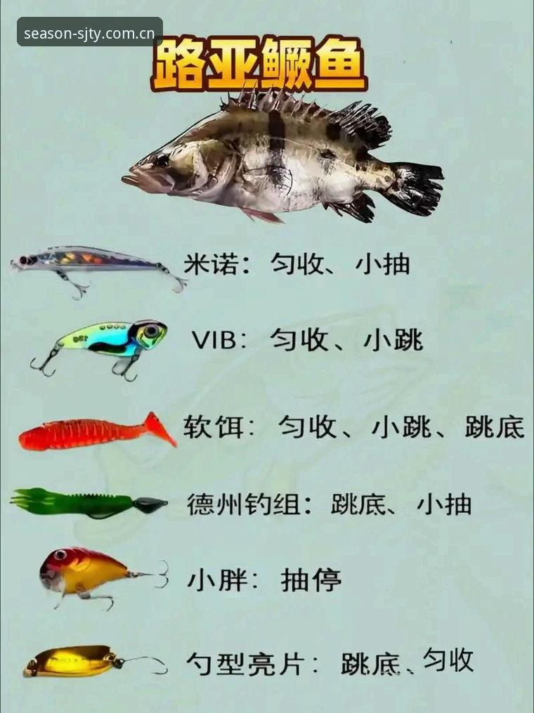 四季体育平台下载评测实用指南：新手必看的正版安装全攻略